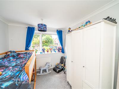 Picture 19